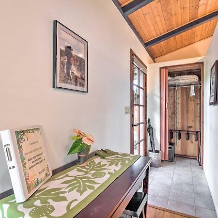 Cozy Volcano Studio With Phenomenal Rainforest Views Mountain View Exterior foto